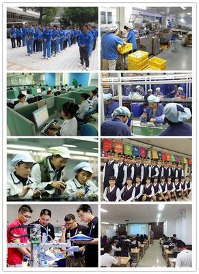 藍橋國際——專業(yè)勞務服務的背景與來歷